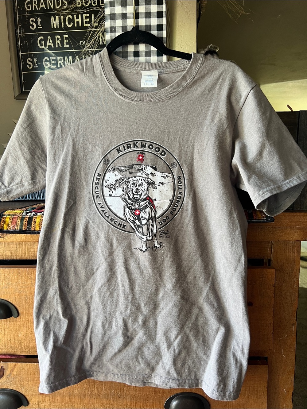 Port and Company Gray Kirkwood Rescue Avalanche Dog Graphic Tee